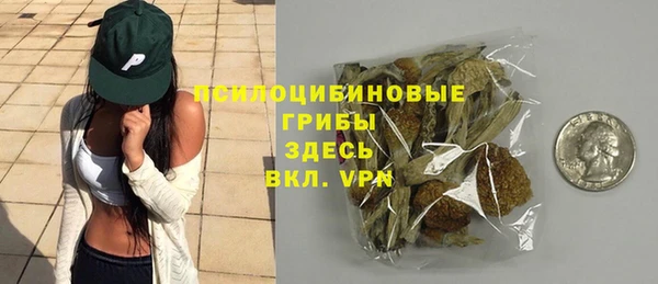 хмурый Алексин