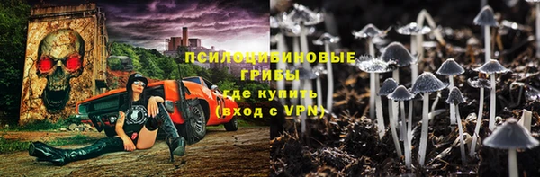 молекула духа Нефтекумск