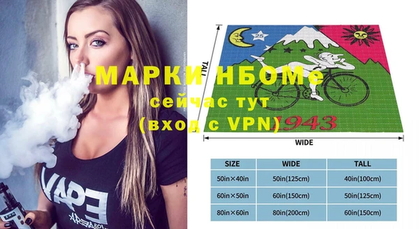 хмурый Алексин