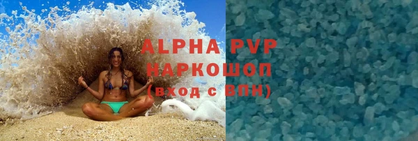 хмурый Алексин