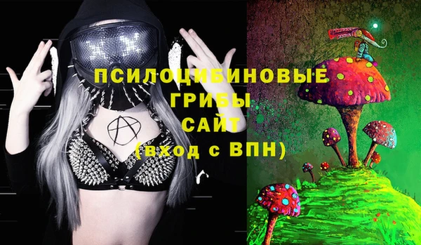 хмурый Алексин
