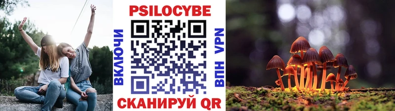 как найти закладки  МЕГА ссылка  Галлюциногенные грибы прущие грибы  Кинель 